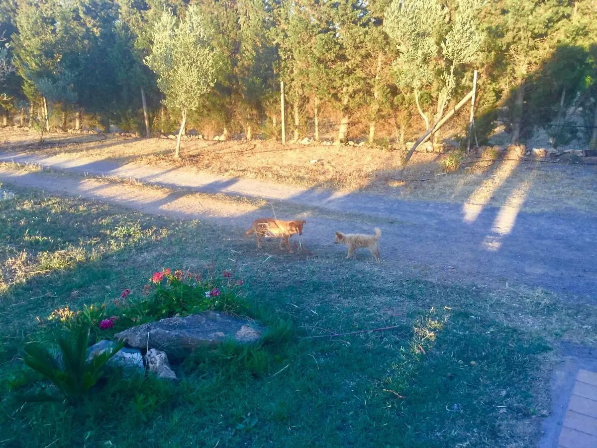 Agriturismo Sogno Latino Iglesias